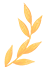 0.gif