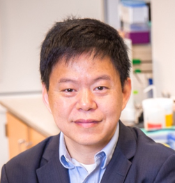 Yingxiao Wang